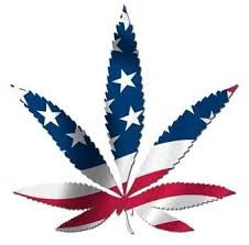 Les retombées positives de la légalisation du cannabis aux Etats-Unis en chiffre