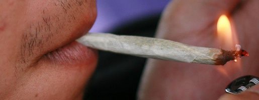 Légalisation du cannabis: “Duflot ne nous a pas servis”