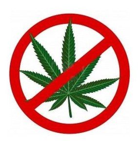 Cannabis : une contravention pour les consommateurs ?