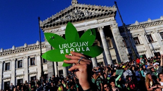 Légalisation du cannabis: des représentants urugayens expliquent leur modèle à Paris