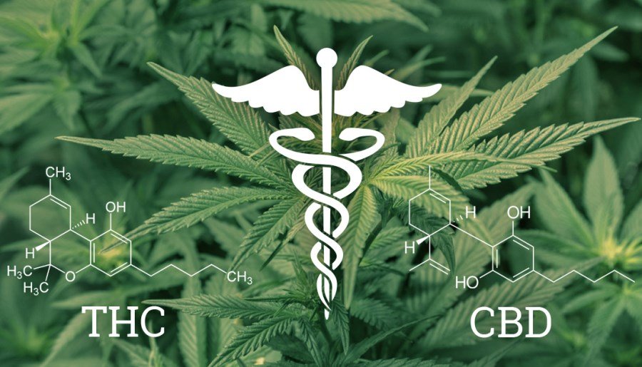 Cannabinoïde : quelle est la différence entre CBD et THC ?