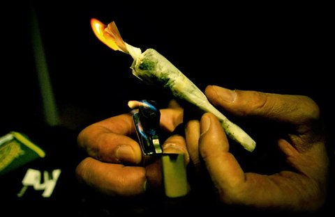 Cannabis : légalisation, dépénalisation ou contraventionnalisation ?
