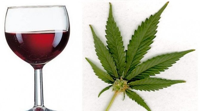 Du vin infusé au cannabis ? Une délicieuse « touche végétale »