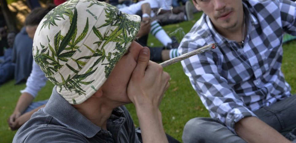 France - Cannabis : les jeunes du sud plus accros que ceux du nord