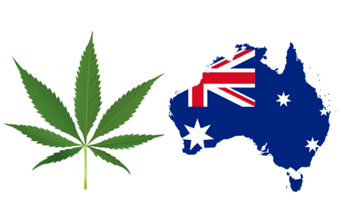 Cannabis: l’entrée de l’Australie dans le marché thérapeutique.