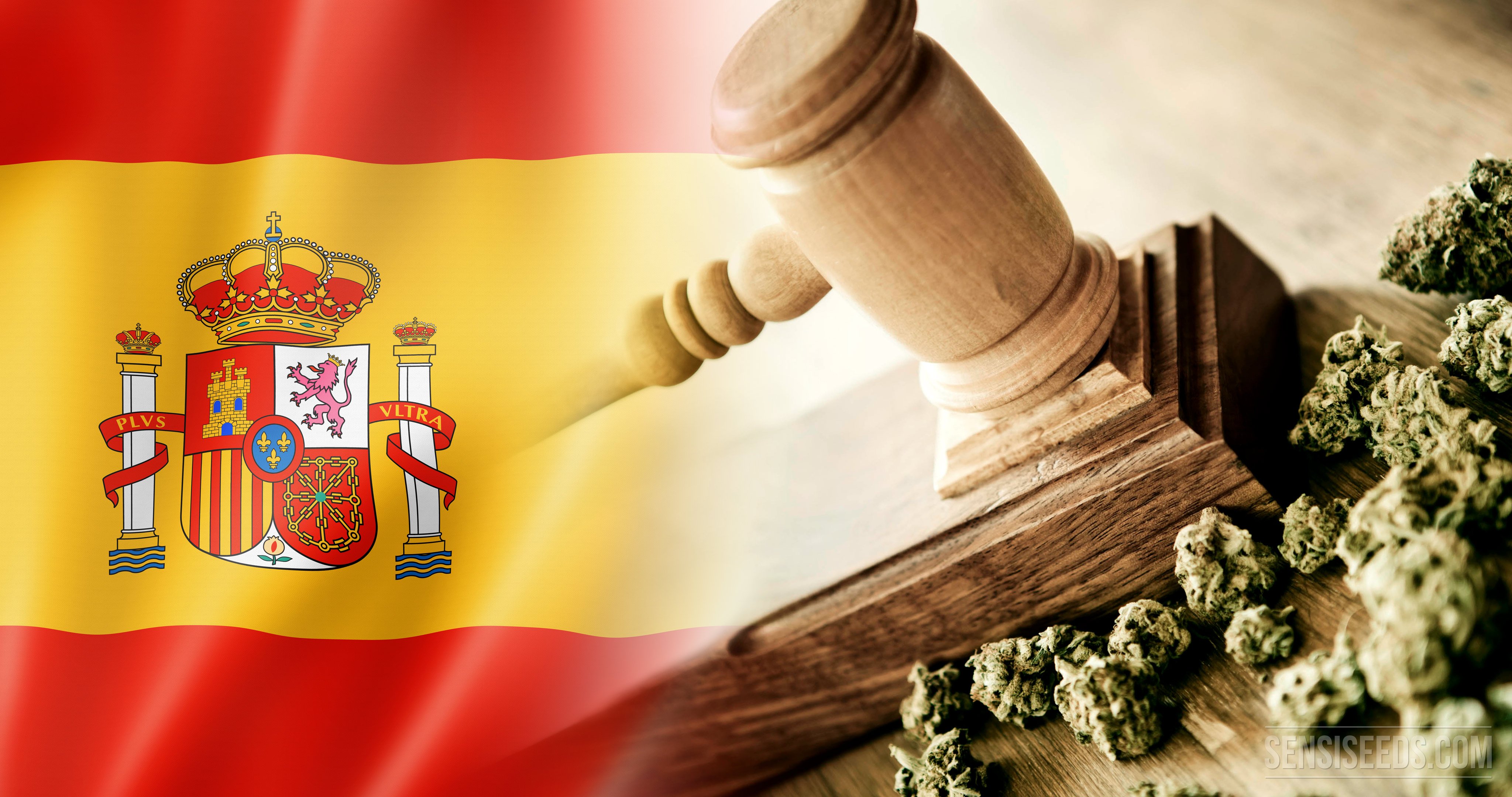 Une ère nouvelle pour les Cannabis Clubs d’Espagne