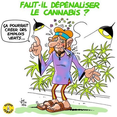 Cannabis : le dépénaliser ? La sécurité serait renforcée en France, pour 3 raisons