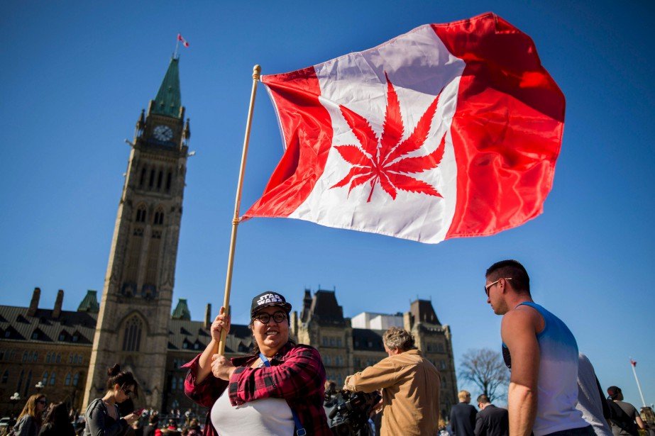 Canada - Légalisation du cannabis : dépôt du projet de loi jeudi