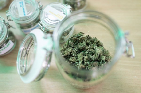 Suisse - Lucerne et Zurich tolèrent dix grammes de cannabis