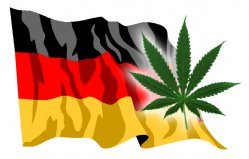 L’Allemagne veut permettre la culture de cannabis médicinal
