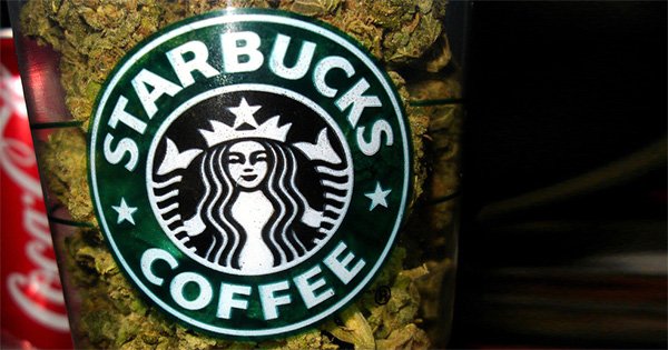 Qui sera le prochain Starbucks de la weed ?
