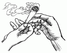France - Cannabis : que risquera-t-on demain pour avoir fumé un joint ?