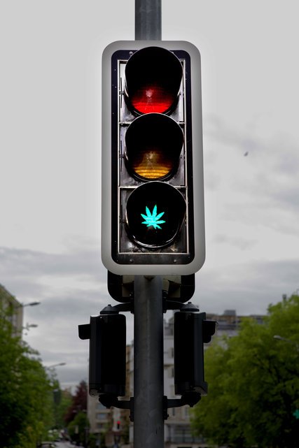 Genève :  Des feux de signalisation détournés en feuilles de cannabis