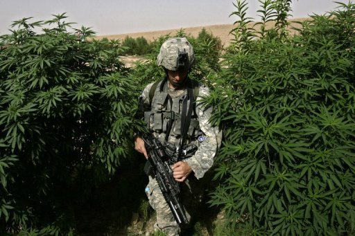 L’État de Washington arrête la guerre à la drogue