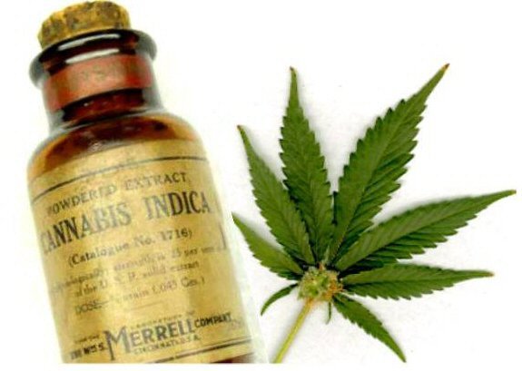 Cannabis médical: pas de conséquences graves?