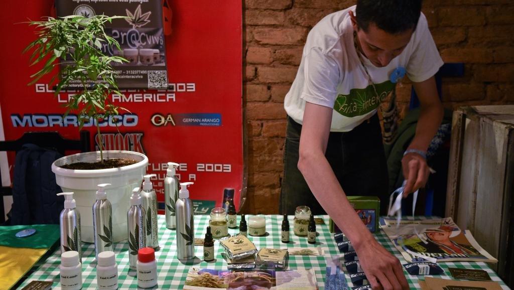 La Colombie sur le point de légaliser le cannabis à usage thérapeutique