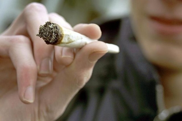 Genève devrait tester le marché régulé et taxé du cannabis