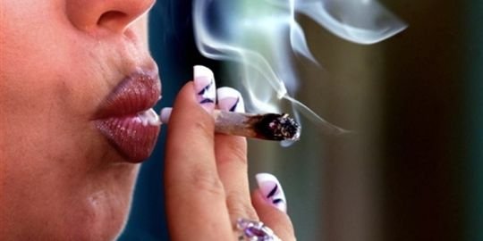 La gauche divisée sur la dépénalisation du cannabis