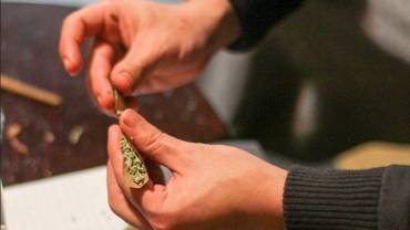 Belgique - Cannabis thérapeutique: "Les gens ont mal et on ne leur permet pas de se soulager"