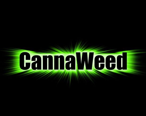 Lancement officiel de la chaine Youtube Cannaweed Tv