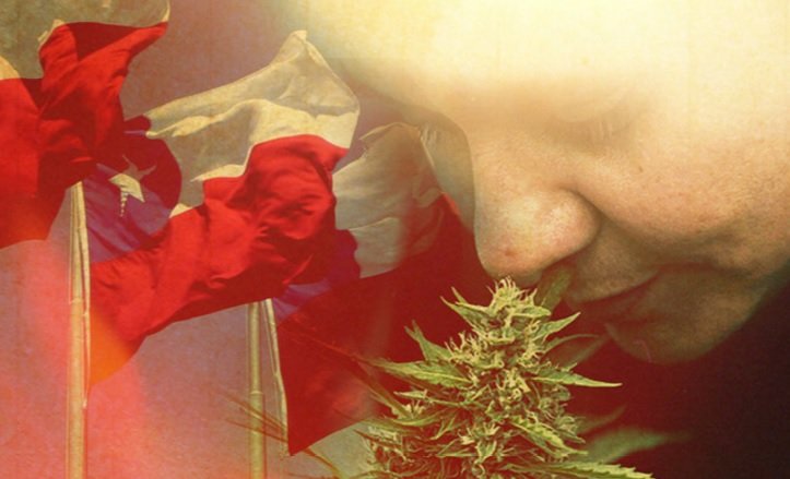 Wide World of Cannabis: Les femmes derrière la légalisation de la weed au Chili