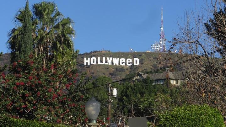 Un entretien avec les petits malins qui prétendent avoir transformé le signe « Hollywood » en « Hollyweed »