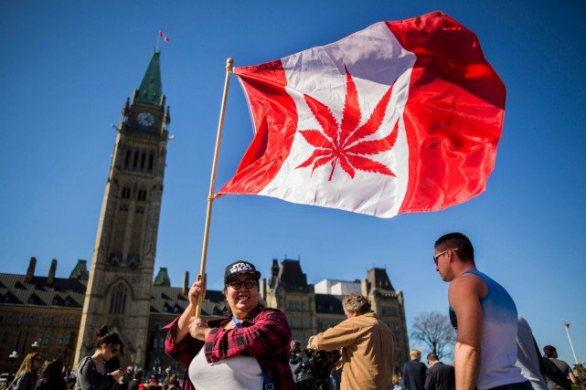 Canada - Le cannabis ne doit pas être une vache à lait
