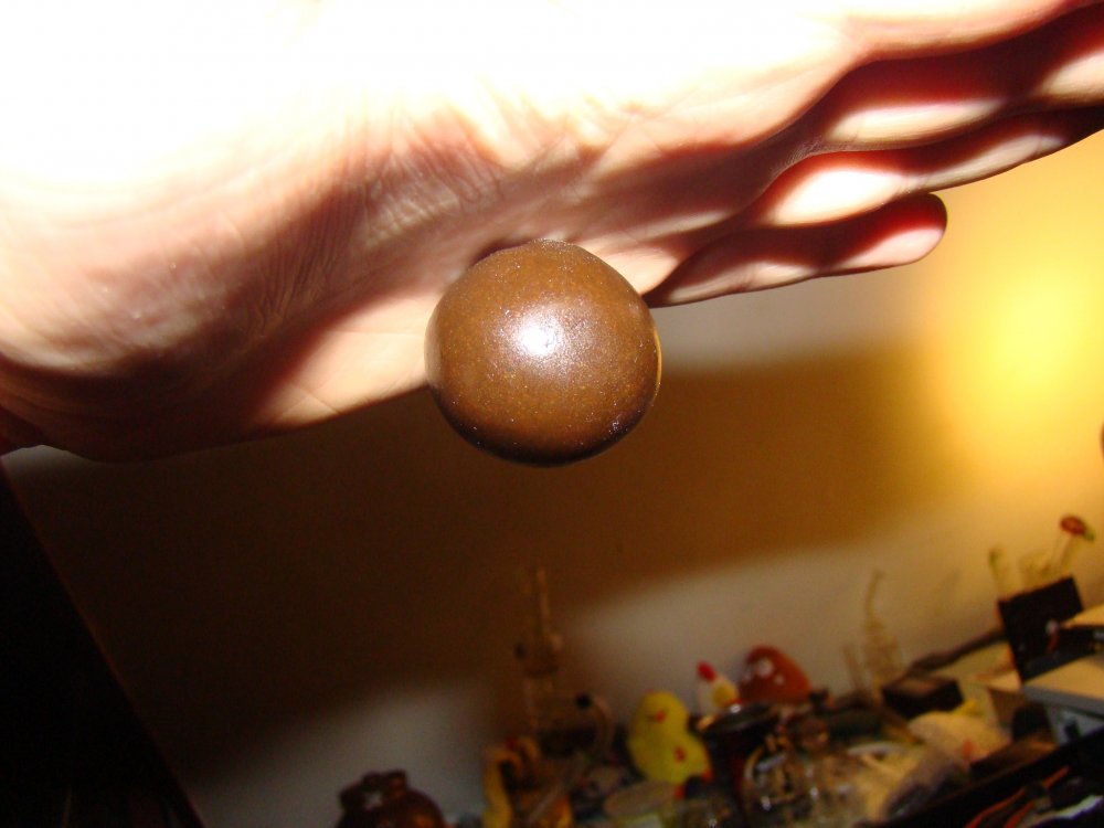 DSC07046.JPG