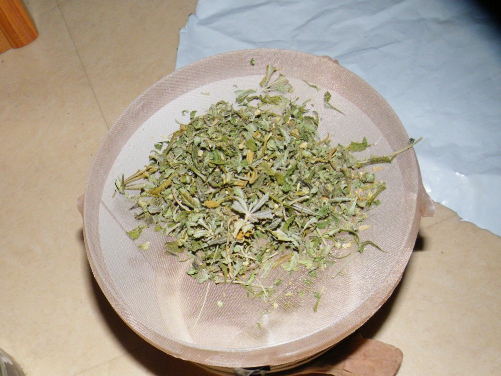 DSCF6524.thumb.JPG.6bfccefe78ad9fa5d84a5de1ec9f47ad.JPG