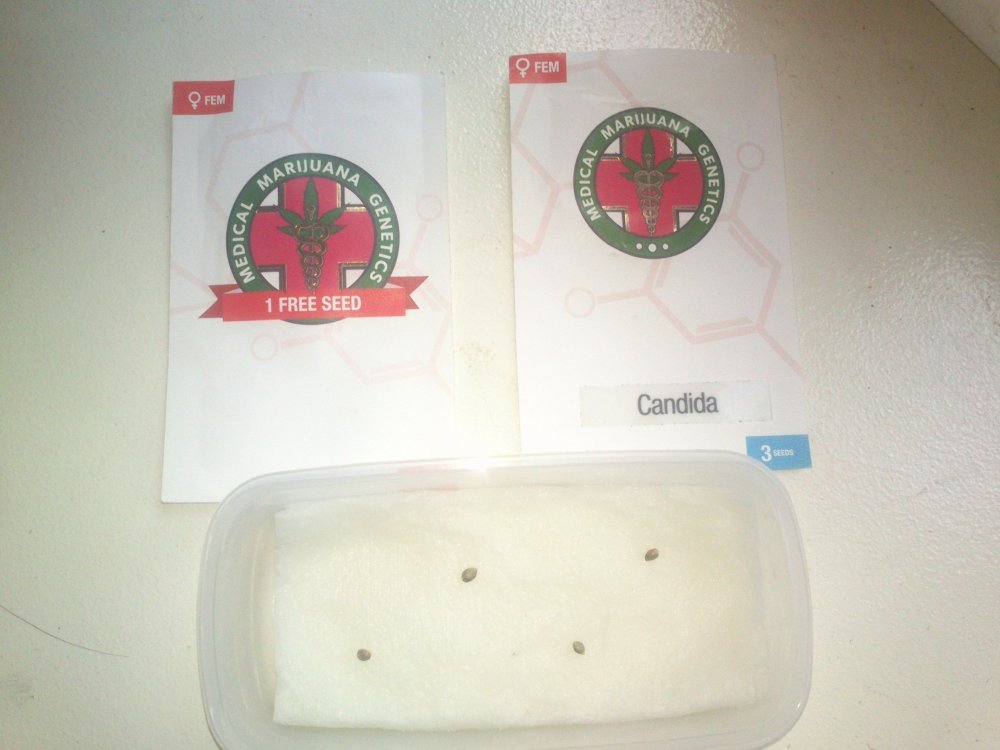 DSC_2279.jpg