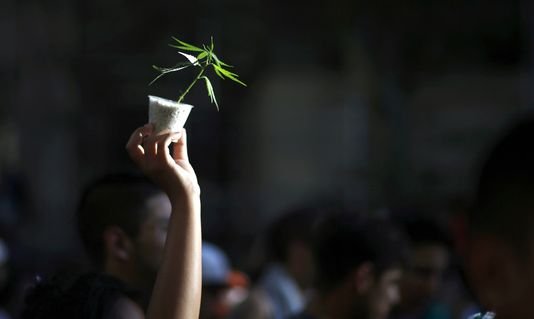Les jardins secrets du cannabis
