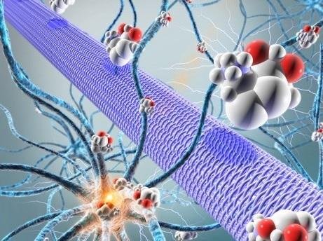 ÉPILEPSIE et CANNABIS : Pourquoi il est important de faire régulièrement des analyses de sang