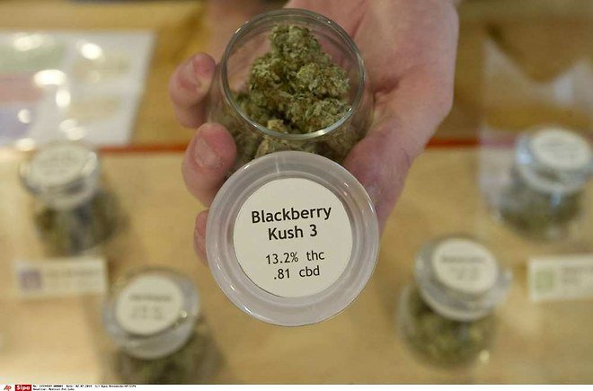 Le cannabis médicinal va être autorisé en Allemagne
