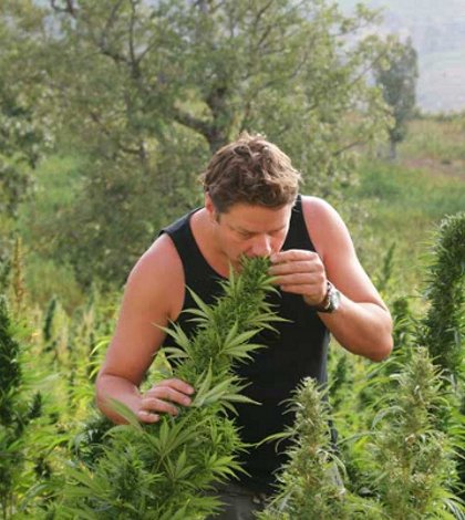 RÃ©sultat de recherche d'images pour "arjan roi du cannabis"