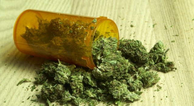 Cannabis, toujours présumé coupable ?