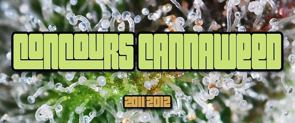 Concours Cannaweed 2011/2012