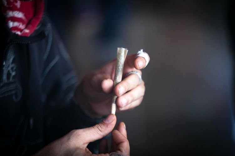 L'onu Déplore La Légalisation Progressive Du Cannabis Et S'inquiète Des «Nouvelles Drogues»