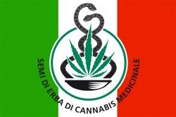 L’Italie légalise le cannabis thérapeutique