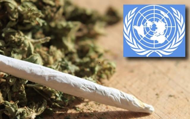 L'Organisation des Nations Unies s'est vue demander de changer les lois internationales sur les drogues