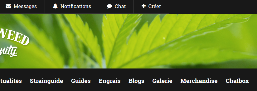 chat.png