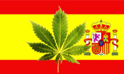 CANNABIS - Les clubs de consommateurs de Barcelone : fonctionnement, accès, limites