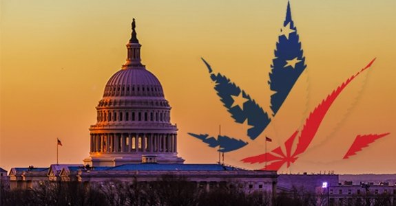 Le Gouvernement des États-Unis Reconnaît Le Potentiel Anti-Cancer Du Cannabis