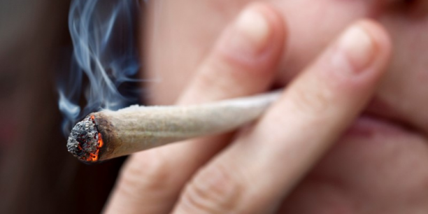 Cannabis : la légalisation fait-elle augmenter la consommation ?