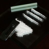 La «défonce légale» met à mal la lutte anti-drogue