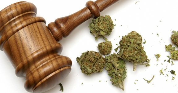 Les vrais dangers du cannabis : les lois sur les drogues