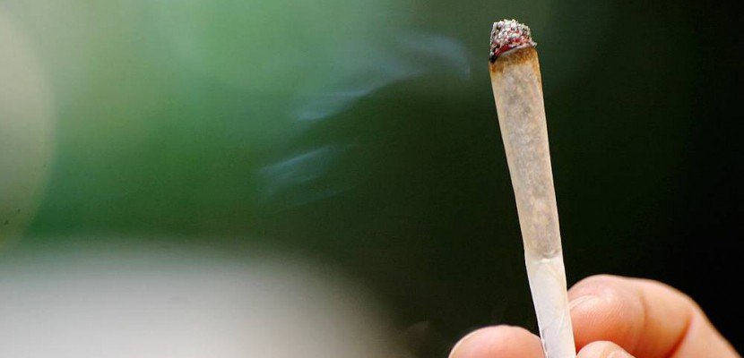 France: Manche - il s'affiche en train de fumer un joint sur Facebook