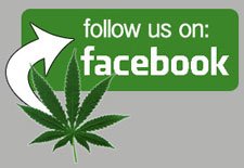 Cannabis sur Facebook