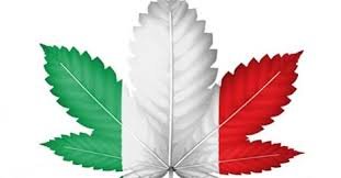 Italie: 218 parlementaires pour la légalisation du cannabis