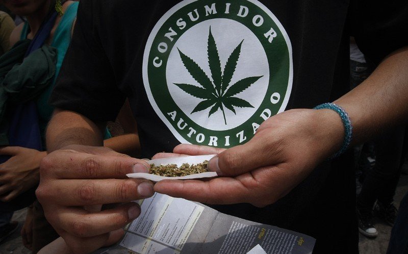 Le Cannabis est désormais un droit humain fondamental au Mexique