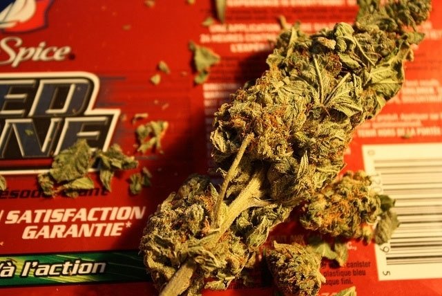 Election US :Non, non et encore non – le cannabis n’est pas une drogue « passerelle »